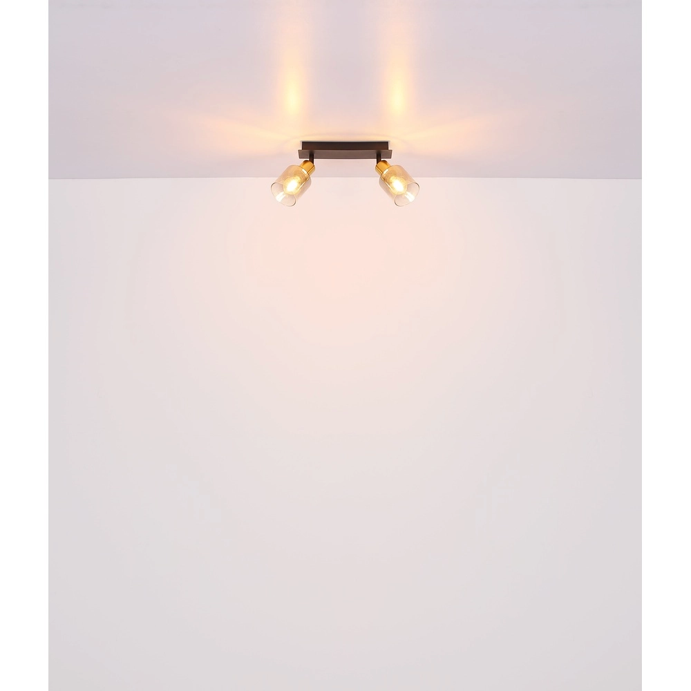 Lampe de plafond à deux lumières Hollsy noir avec verre fumé Globo 9007371445851