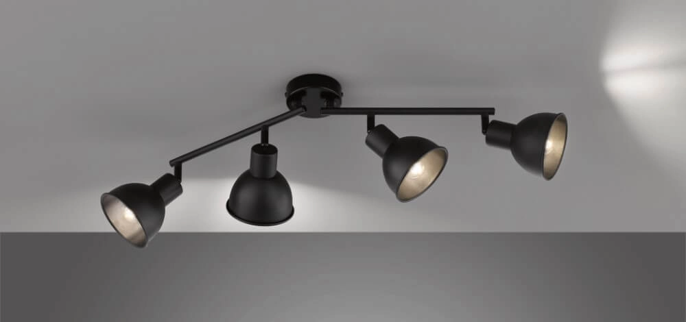 Spot de plafond orientable Speedy noir mat Fischer & Honsel 4003694212489