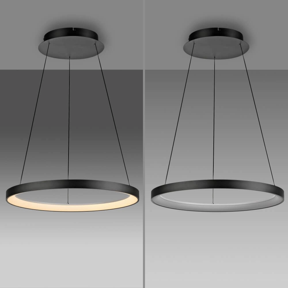 Lampe suspendue ronde Hoop noir Paul Neuhaus 4012248384695