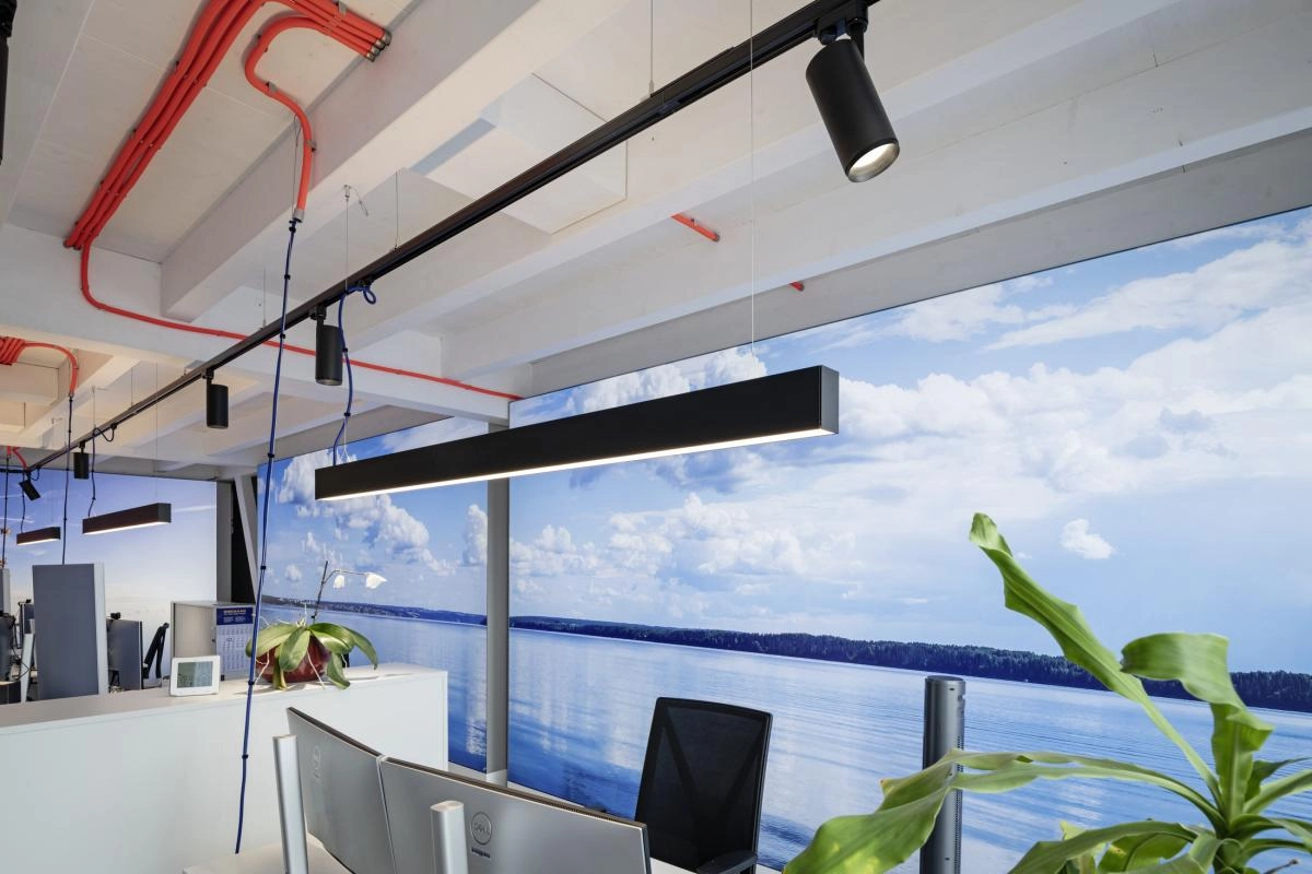 Railspot 3-phasé Numinos L Dali noir 4000K - 60 deg SLV 4024163247221