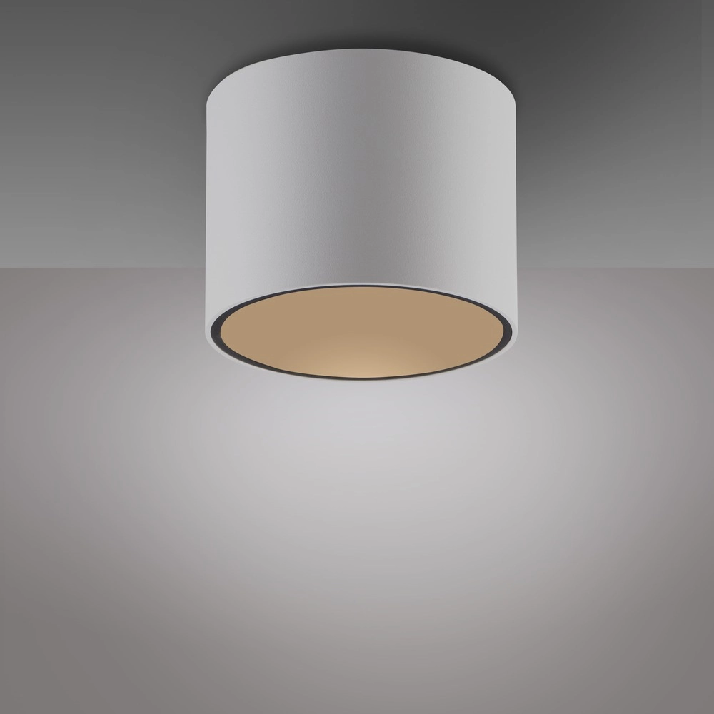 Emplacement monté en surface au plafond Pure Point Ø 11cm - blanc Paul Neuhaus 4012248395639