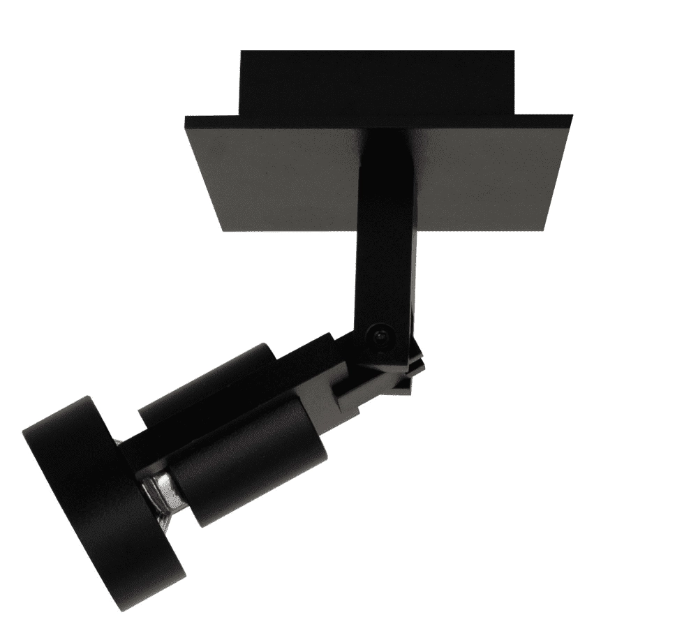 Spot noir Tech1