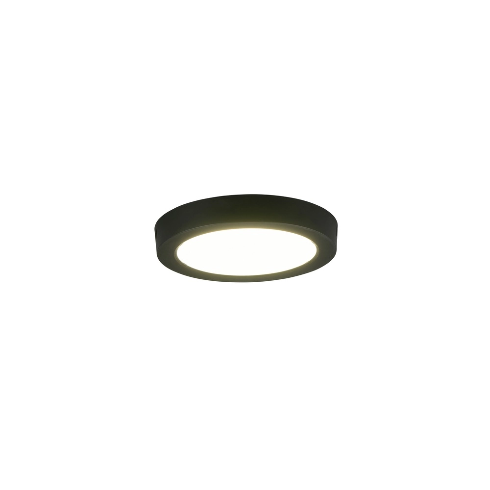 Lampe de plafond Laru Ø 21,5 cm noir Trio 4017807711523