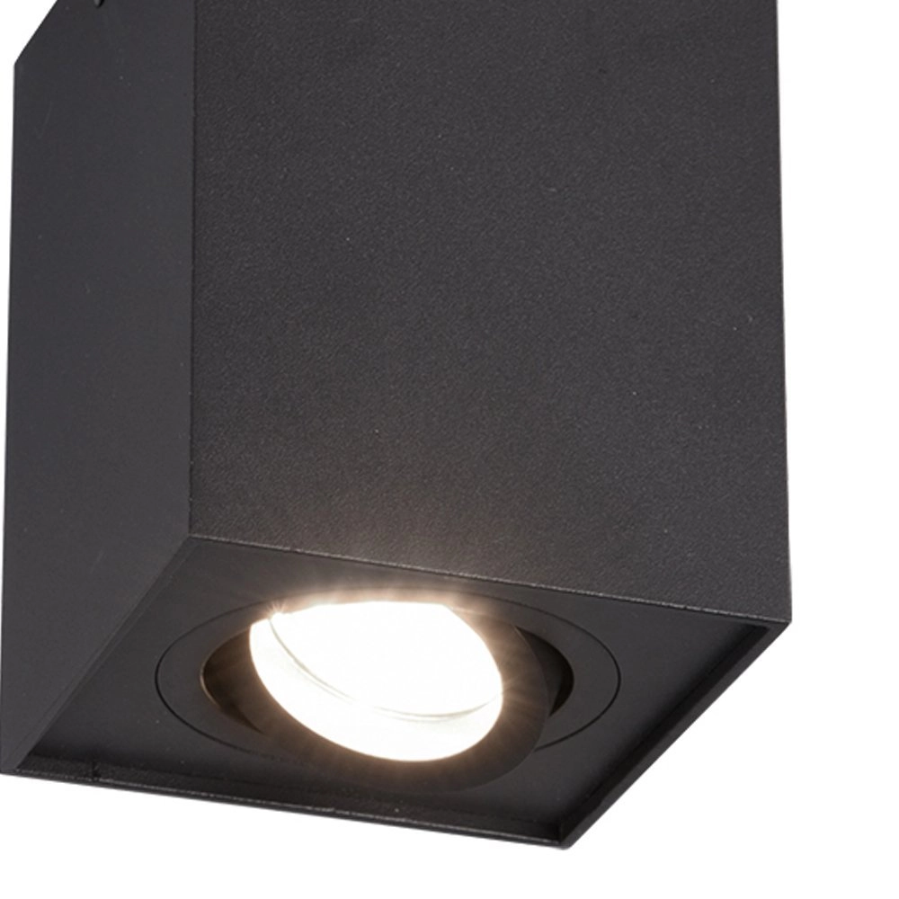 Spot Biscuit Trio 4017807426915