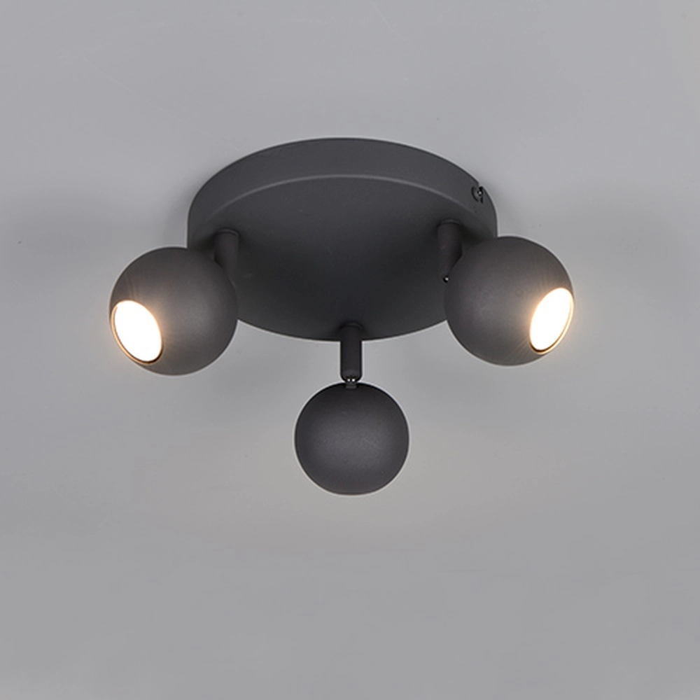 Emplacement monté en surface Enaro Anthracite à 3 lumières Trio 4017807701715