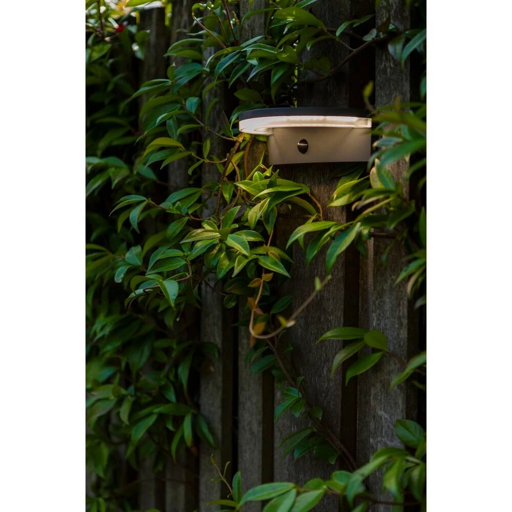 Lampe à capteur extérieur Vyzor Énergie solaire Lutec 6939412016320