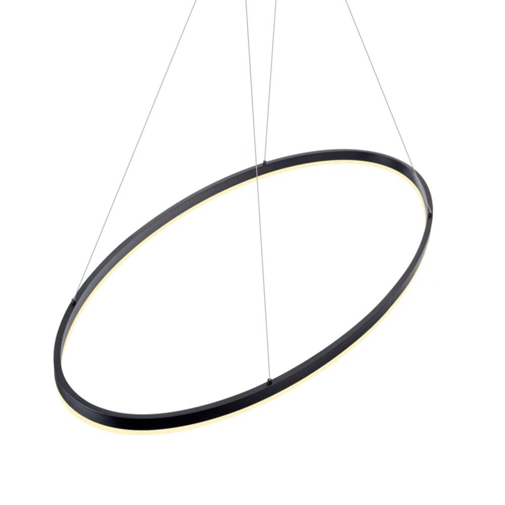 Lampe à suspension anthracite Titus Ø 118 cm Paul Neuhaus 4012248375228