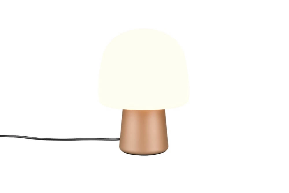 Lampe de table champignon Steen café avec verre blanc Trio 4017807616477