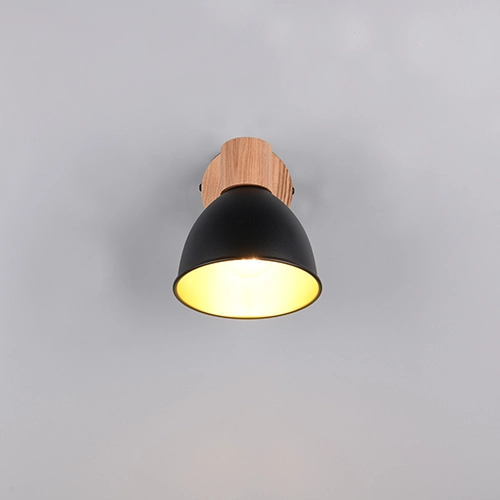 Lampe de plafond Delume Noir simple Trio 4017807672237