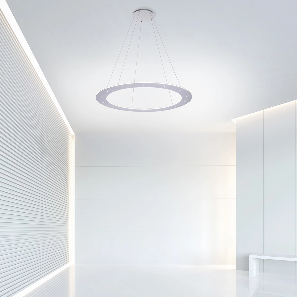 Suspension LED Pure Cosmo Métal brossé - Ø 75cm Paul Neuhaus 4012248350751