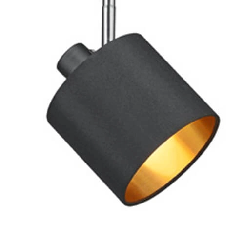 Lampe sur rail à 2 phases Duoline noir avec de l'or Trio 4017807472295