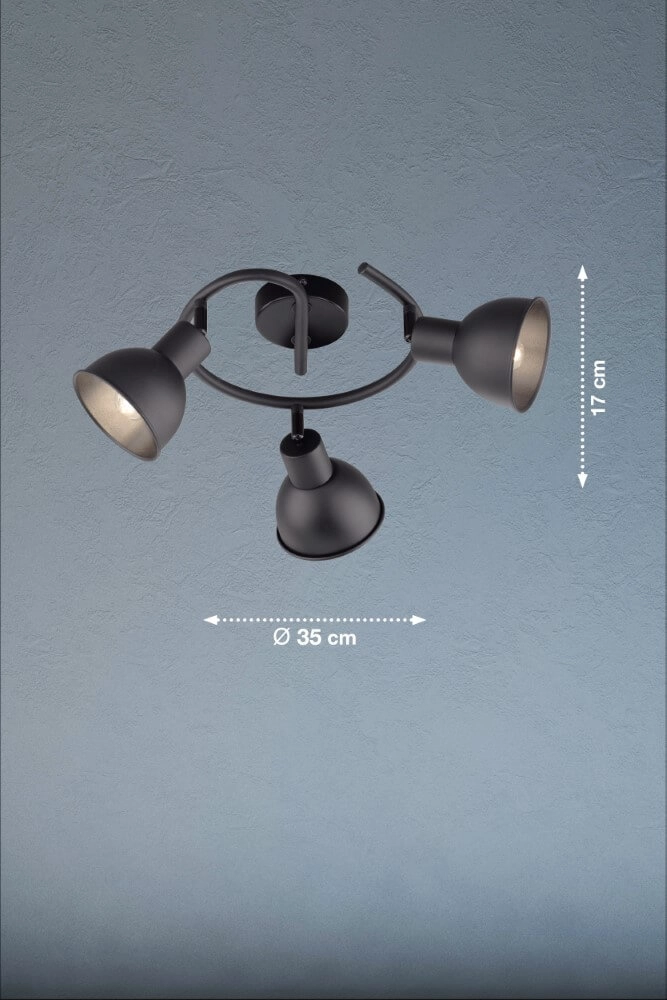 Spot de plafond noir mat Speedy Fischer & Honsel 4003694212472