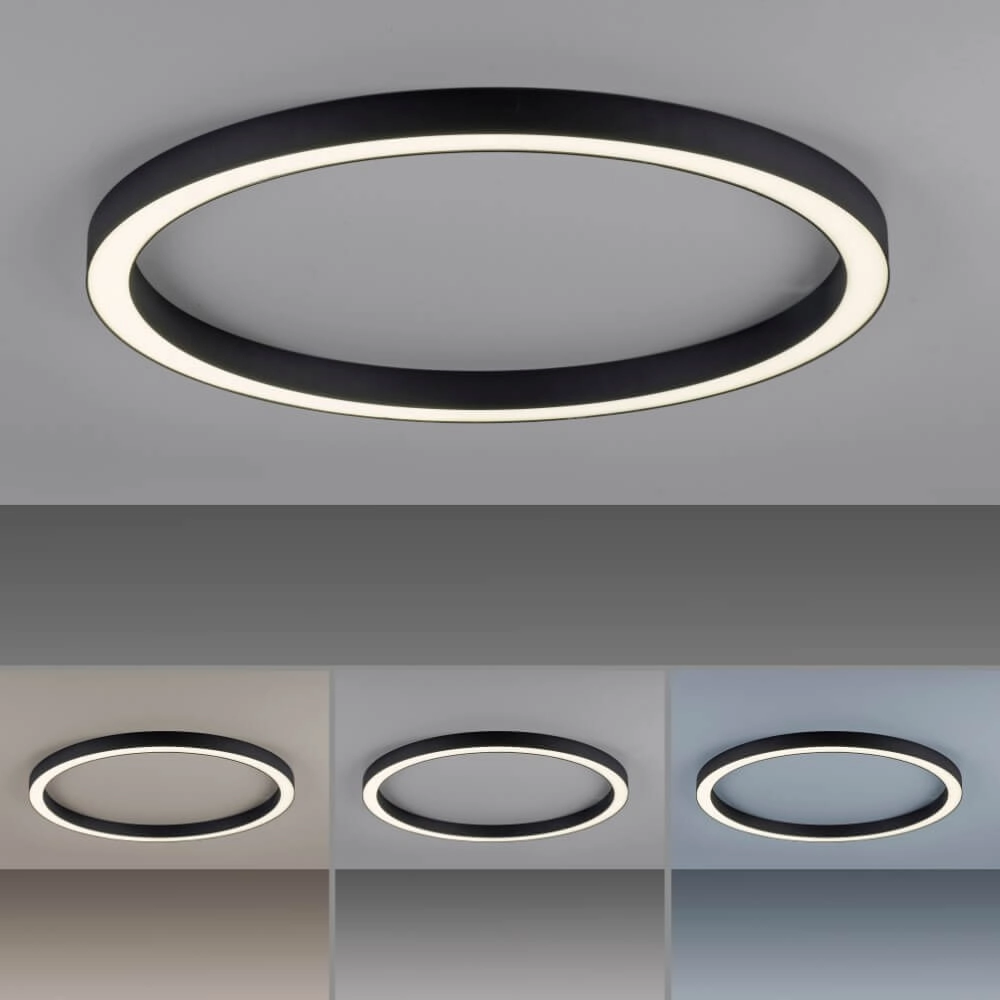 Lampadaire rond Pure Lines Round Ø 70 cm anthracite Paul Neuhaus 4012248373521