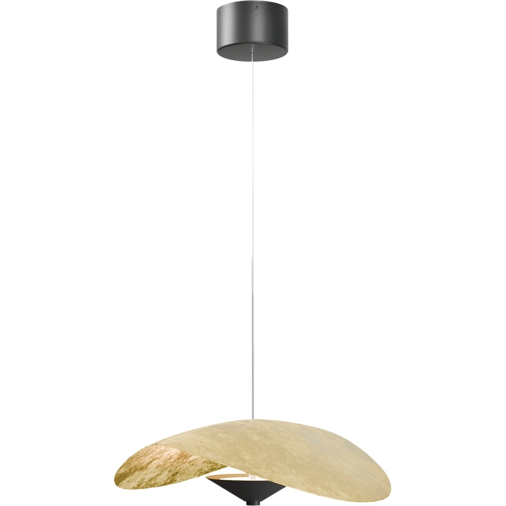 Ø Lumière suspendue LED de 45 cm Lente Feuille d’or - avec poulie Masterlight 8718121390109
