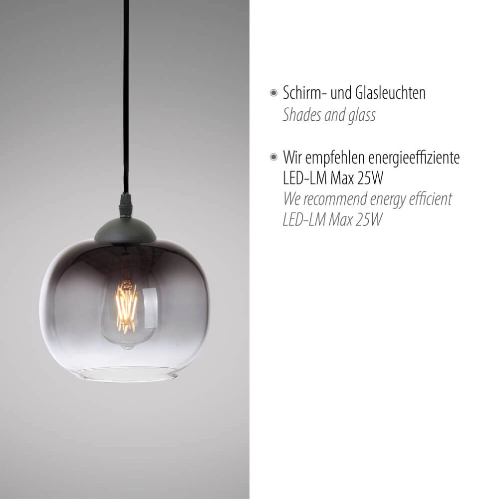 Lampe suspendue noire Zea célibataire Just Light 4043689993740
