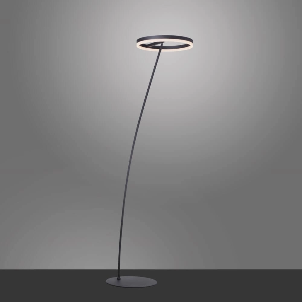 Lampadaire anthracite Titus moderne Paul Neuhaus 4012248357637