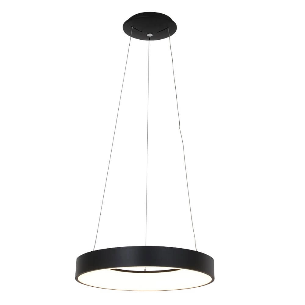 Lampe suspendue à LED Ringlede Ø 48 cm Steinhauer 8712746132847