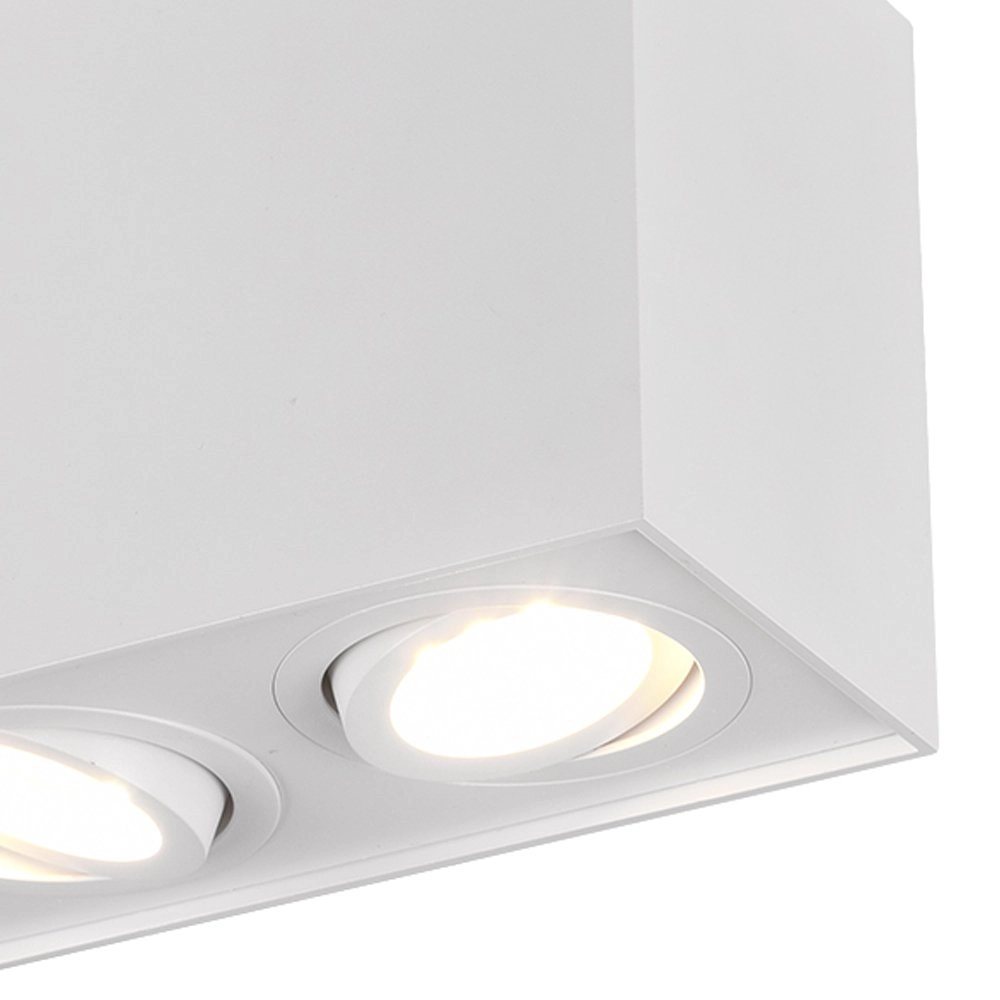 Spot Biscuit Trio 4017807426922