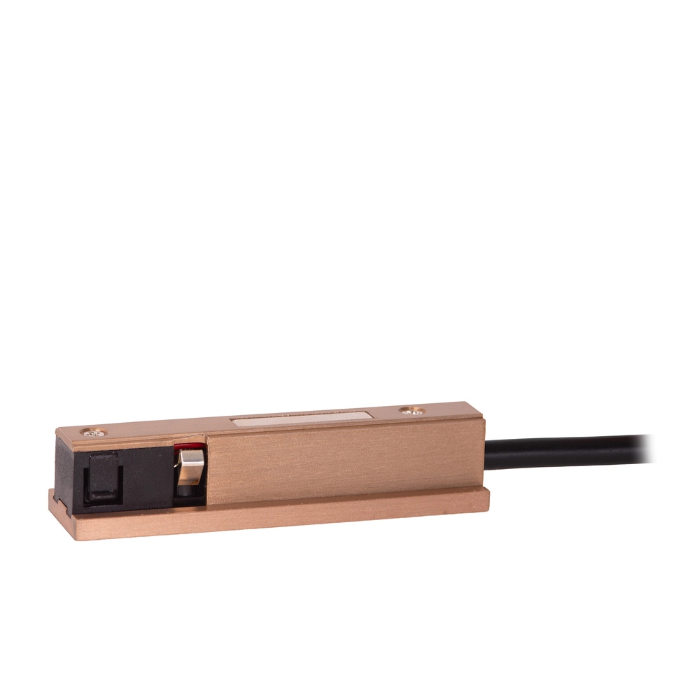 Alimentation de démarrage monophasée Linial Champagne Premium by Lucide 5411212552112