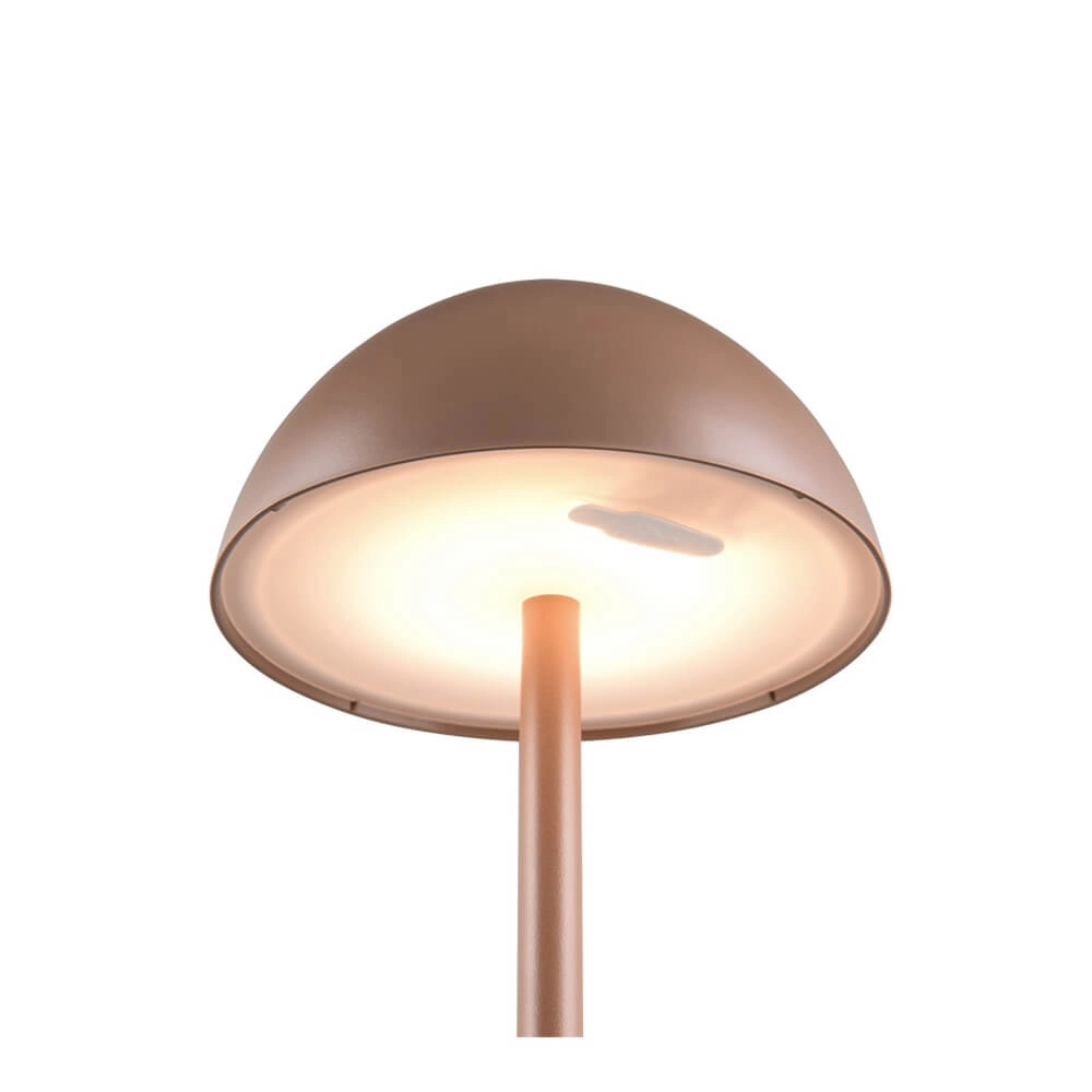 Lampe de table rechargeable Ricardo brun café Trio 4017807633900