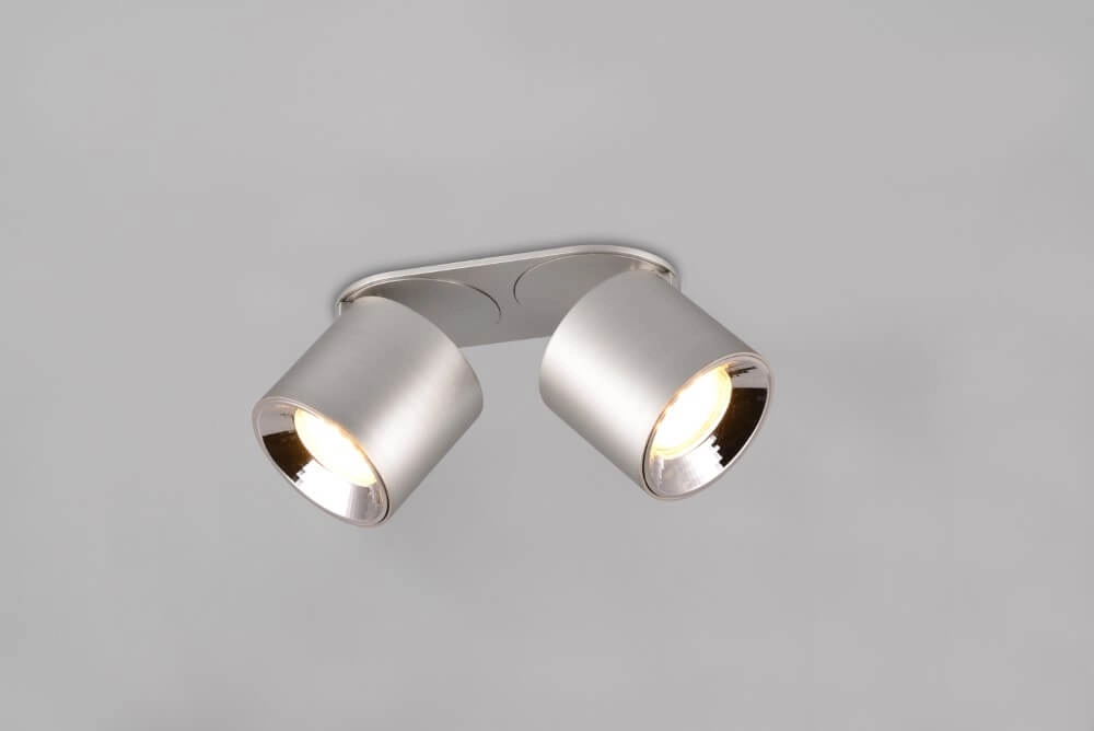 Plafonnier Guayana Nickel à 2 lumières Trio 4017807573978