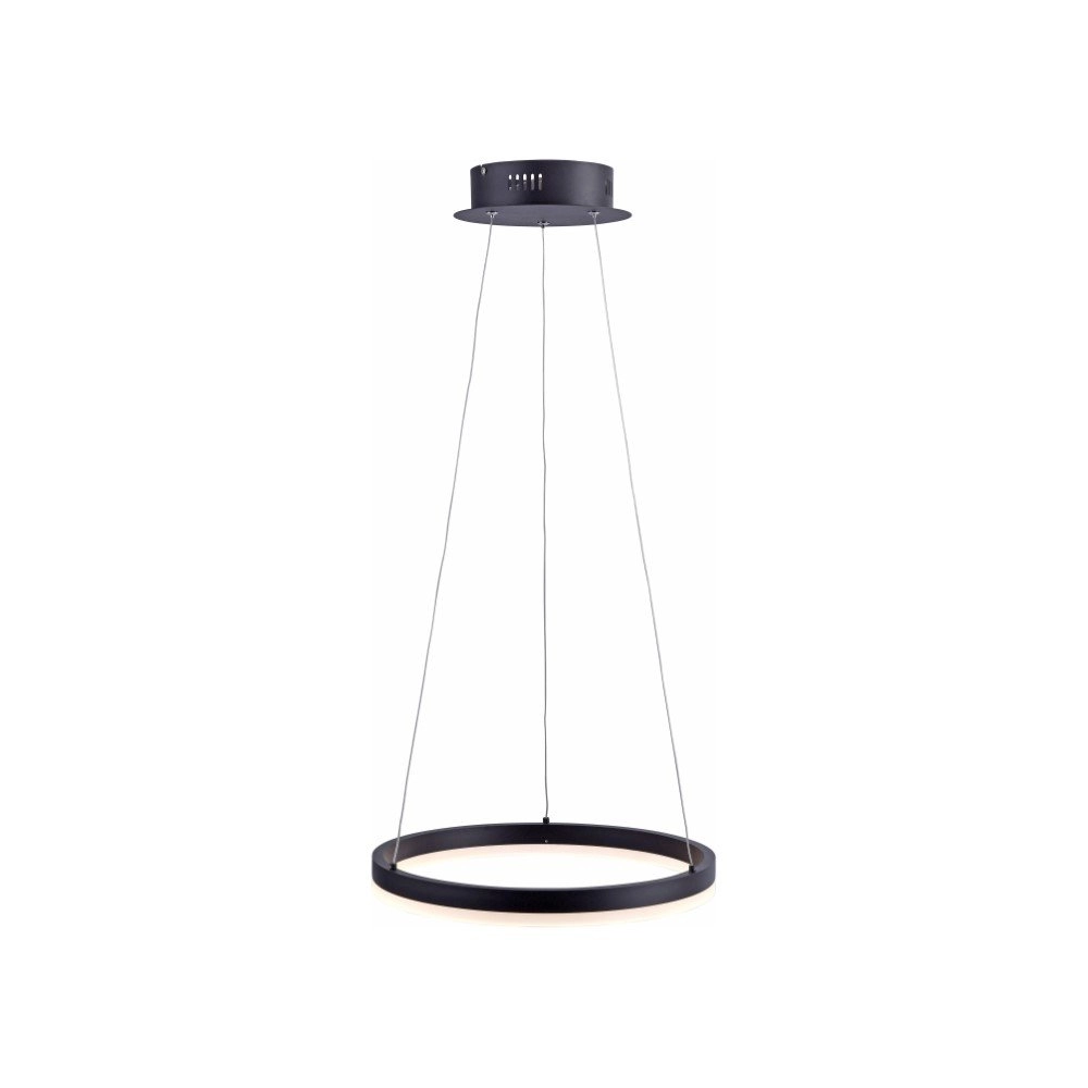 Lampe suspendue noire Titus Ø 40 cm Paul Neuhaus 4012248305140