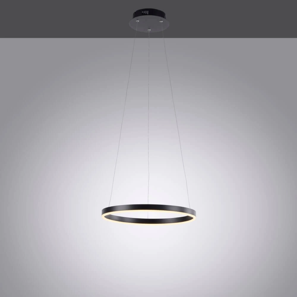 Lampe suspendue LED noire Ritus Ø40cm Paul Neuhaus 4043689983949