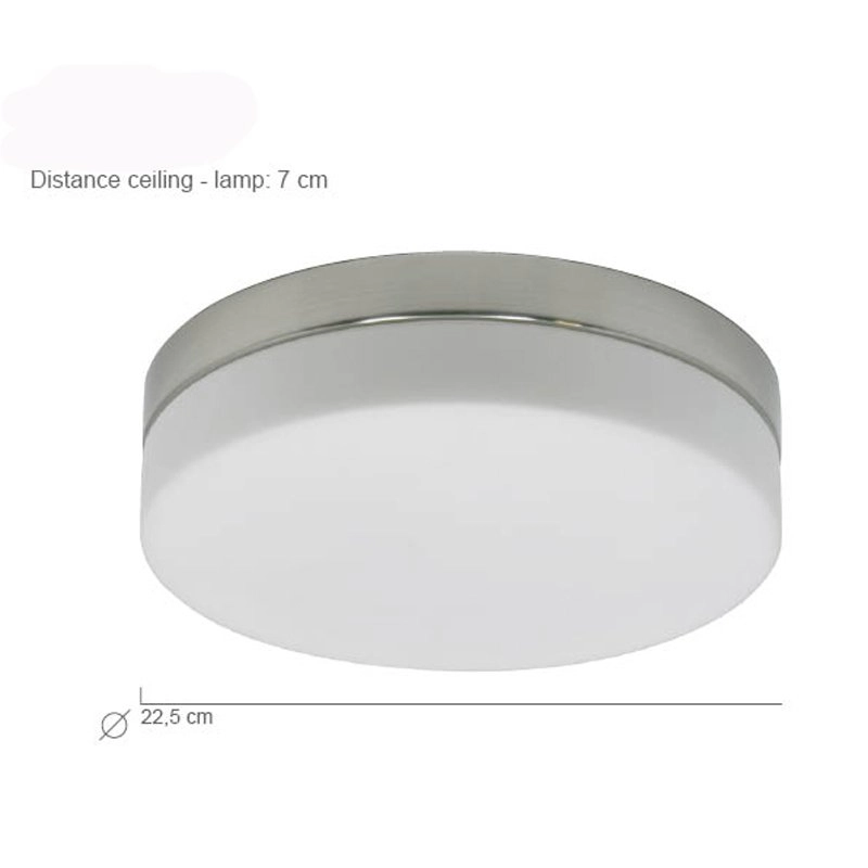 LED plafonnier Ceiling 22cm 2950K gris métal Steinhauer 8712746115284