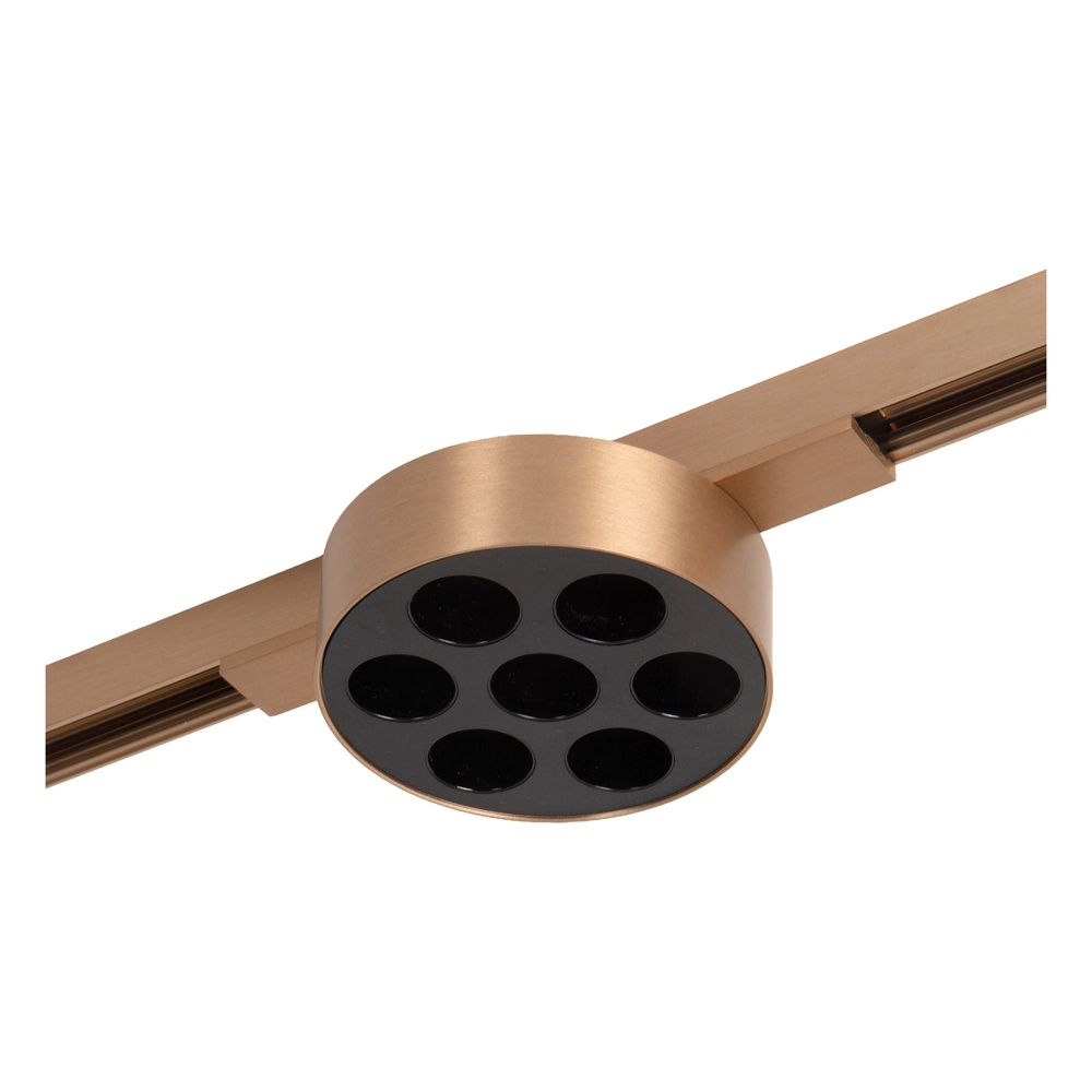Spot sur piste monophasée Linial Xavi Champagne Premium by Lucide 5411212552556