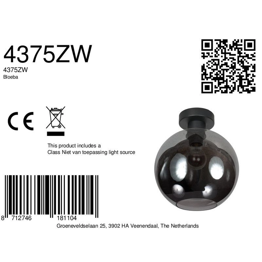 Plafonnier Bloeba sphère en verre fumé Ø 25cm Steinhauer 8712746181104