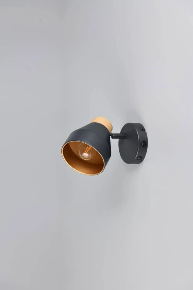 Applique murale design Valentin noir Trio 4017807637397