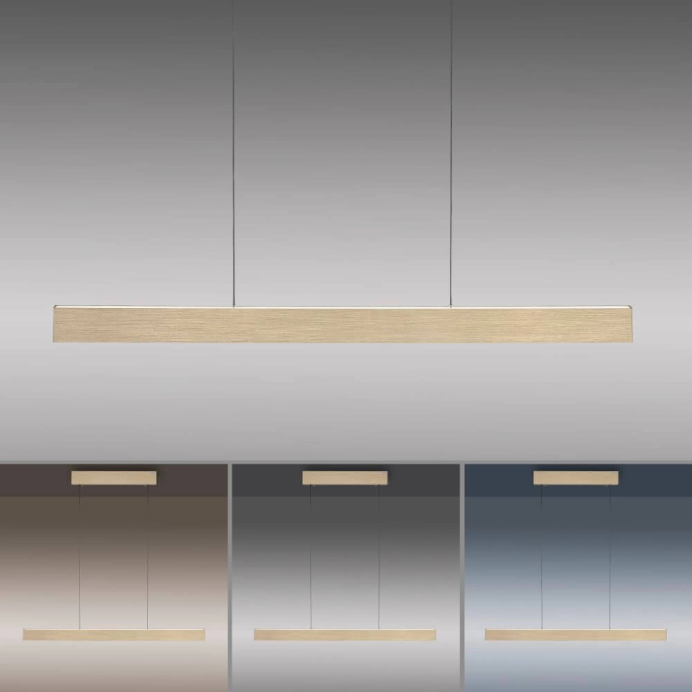 Lampe suspendue design Pure E-Motion laiton Paul Neuhaus 4012248372913