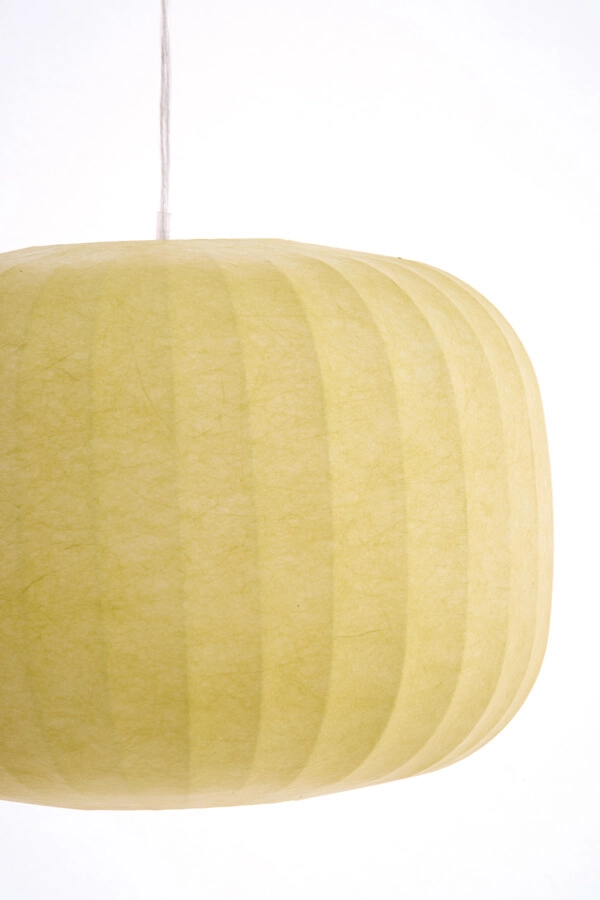 Suspension Japandi Lexa vert Ø 35cm Light & Living 8717807756833