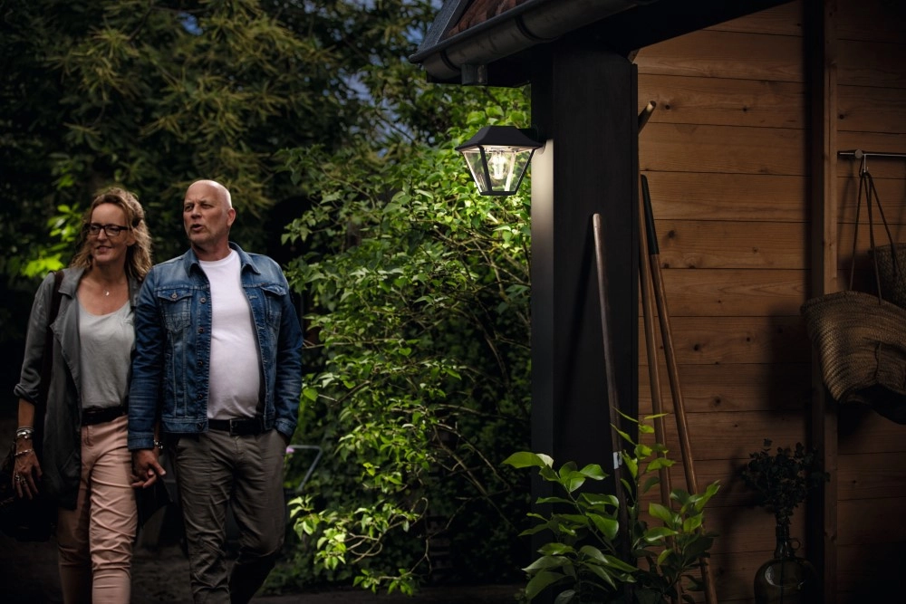 Applique murale Alpenglow 20 cm noir Philips 8718696158159