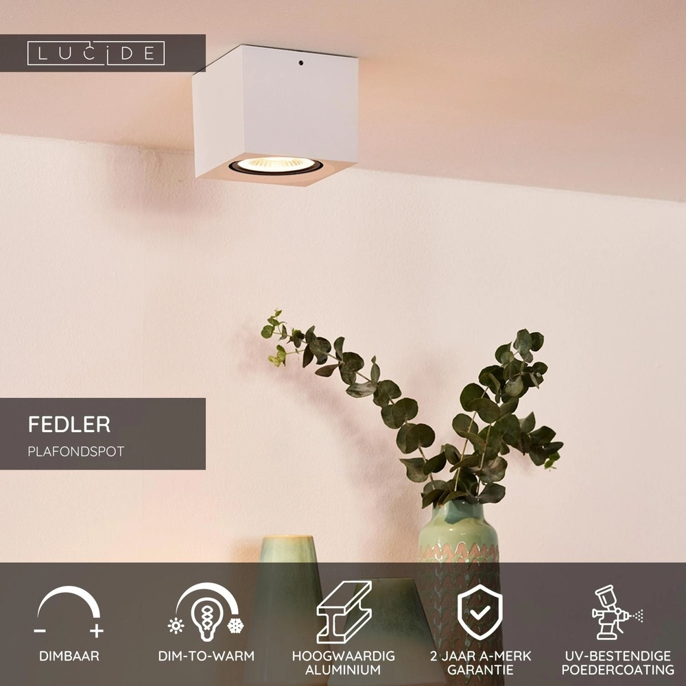 Projecteur de plafond Fedler GU10 ES111 blanc Lucide 5411212092168