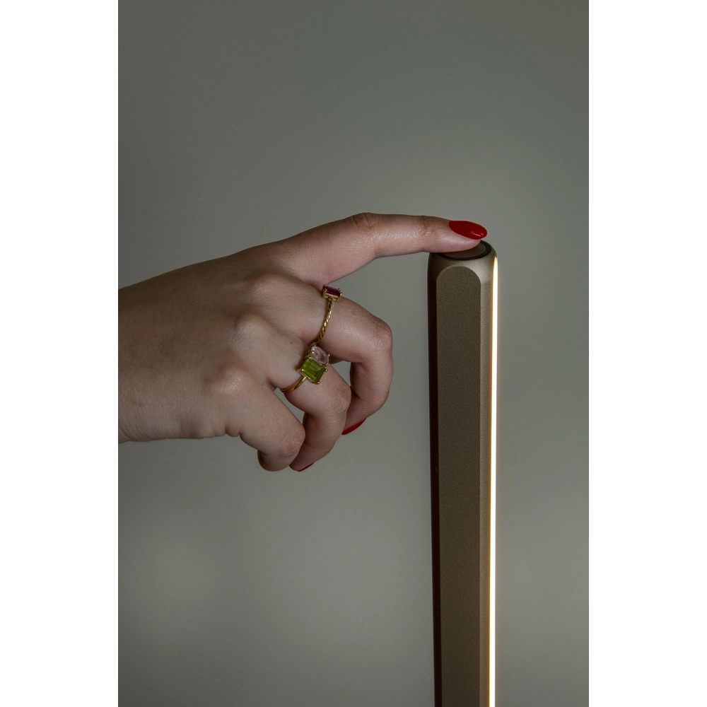 Lampe sur pied LED de 155 cm Braga Champagne Premium by Lucide 5411212234452