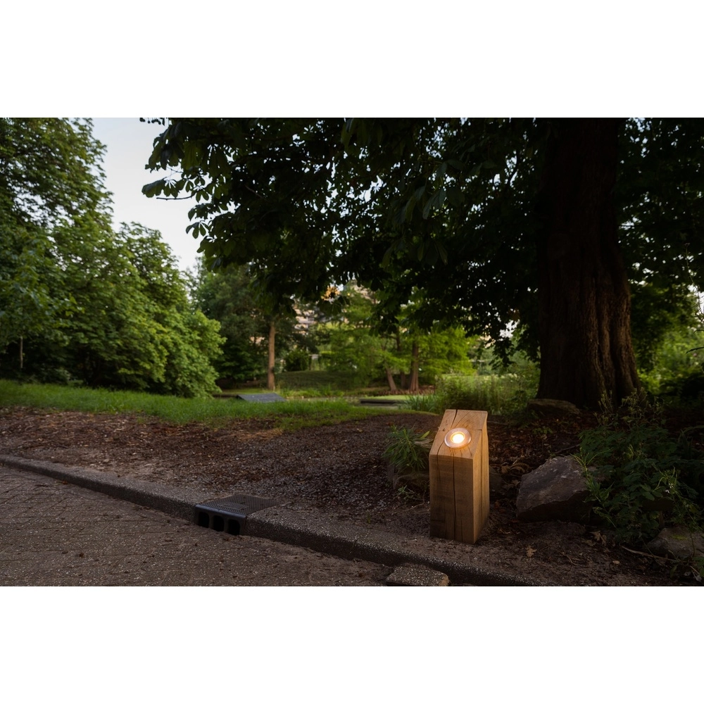 Lumineuse en bois Sotto Alezan rustique - 40 cm - 2700 K Timberlab 8716803514171