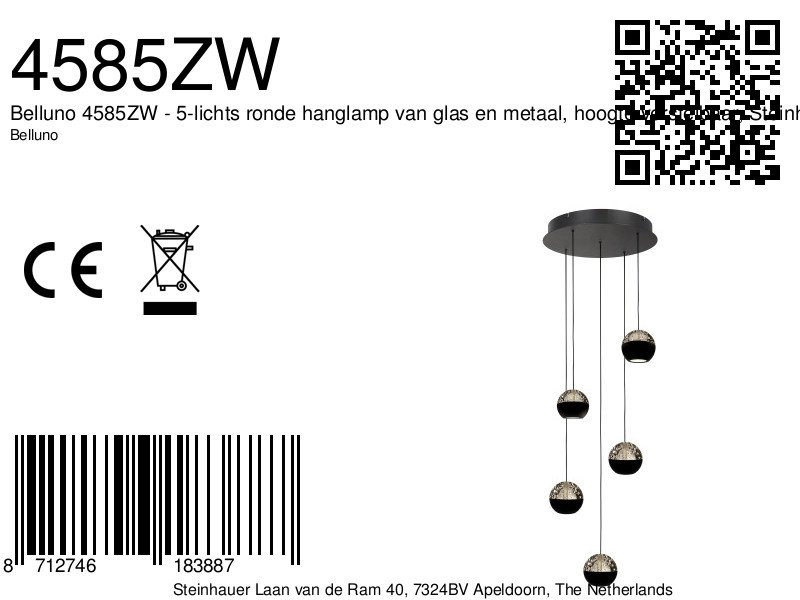 Lampe suspendue vide à 5 lumières Belluno LED - Noir avec verre Steinhauer 8712746183887