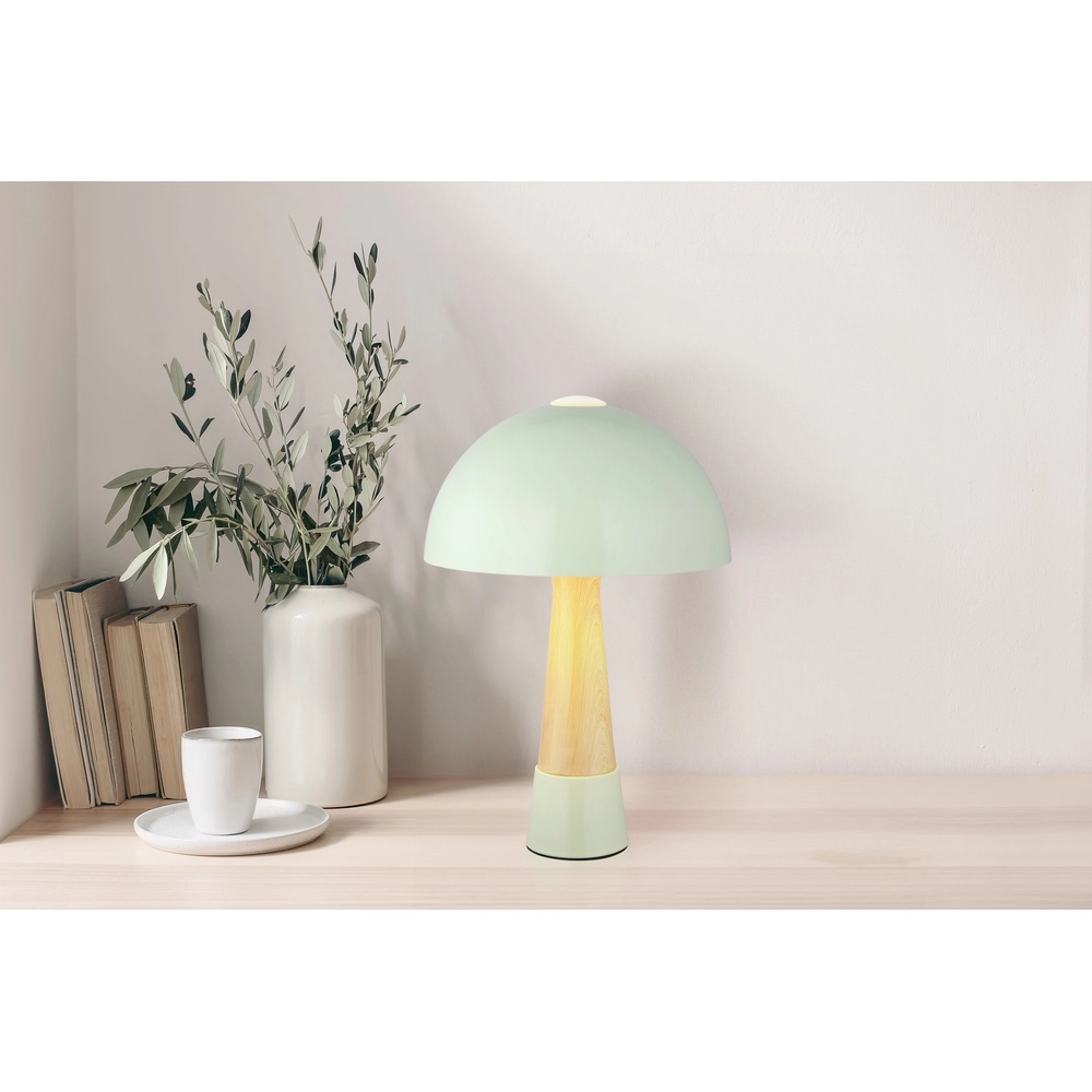 Lampe de table unique Paulin Ø 25cm vert Globo 9007371513802