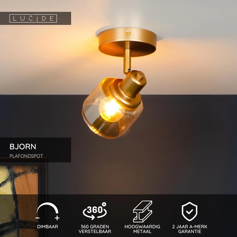 Lampe de plafond Bjorn Or simple Lucide 5411212771209