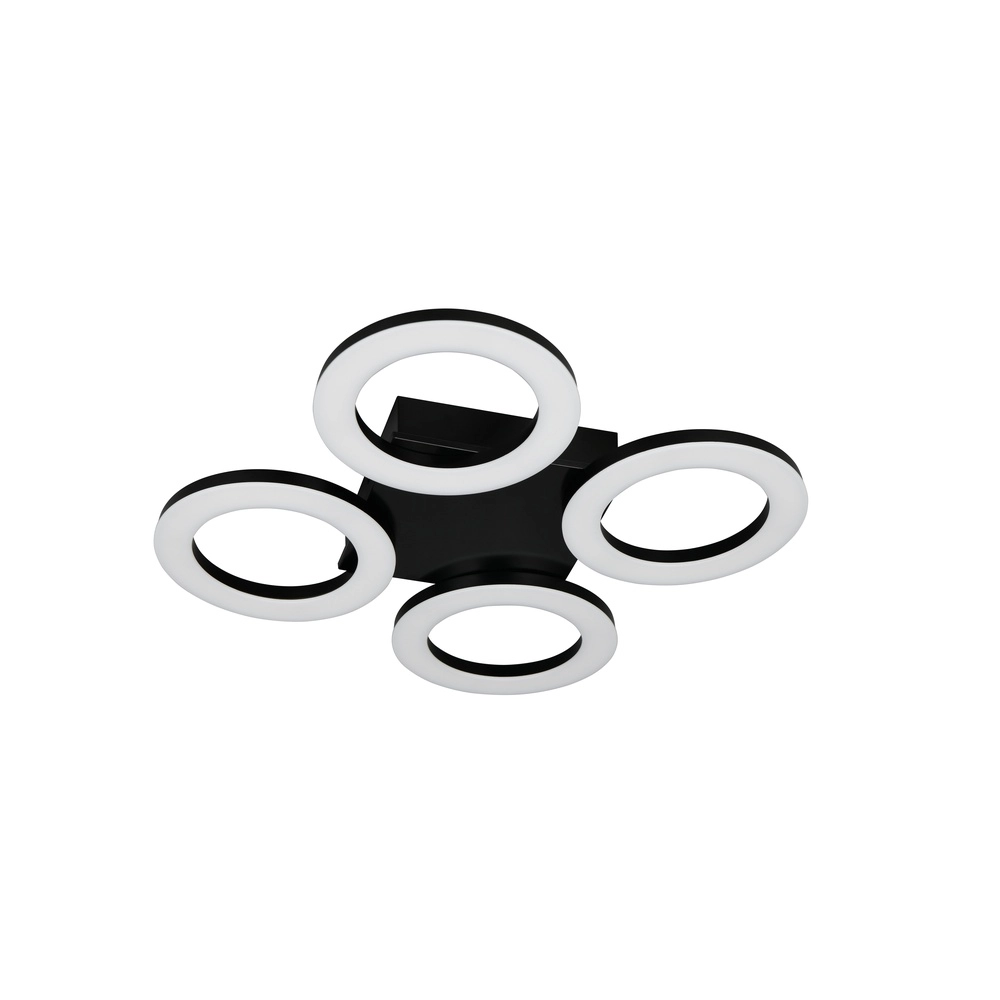 Lampe de plafond à design Cemi Rond noir Trio 4017807704372