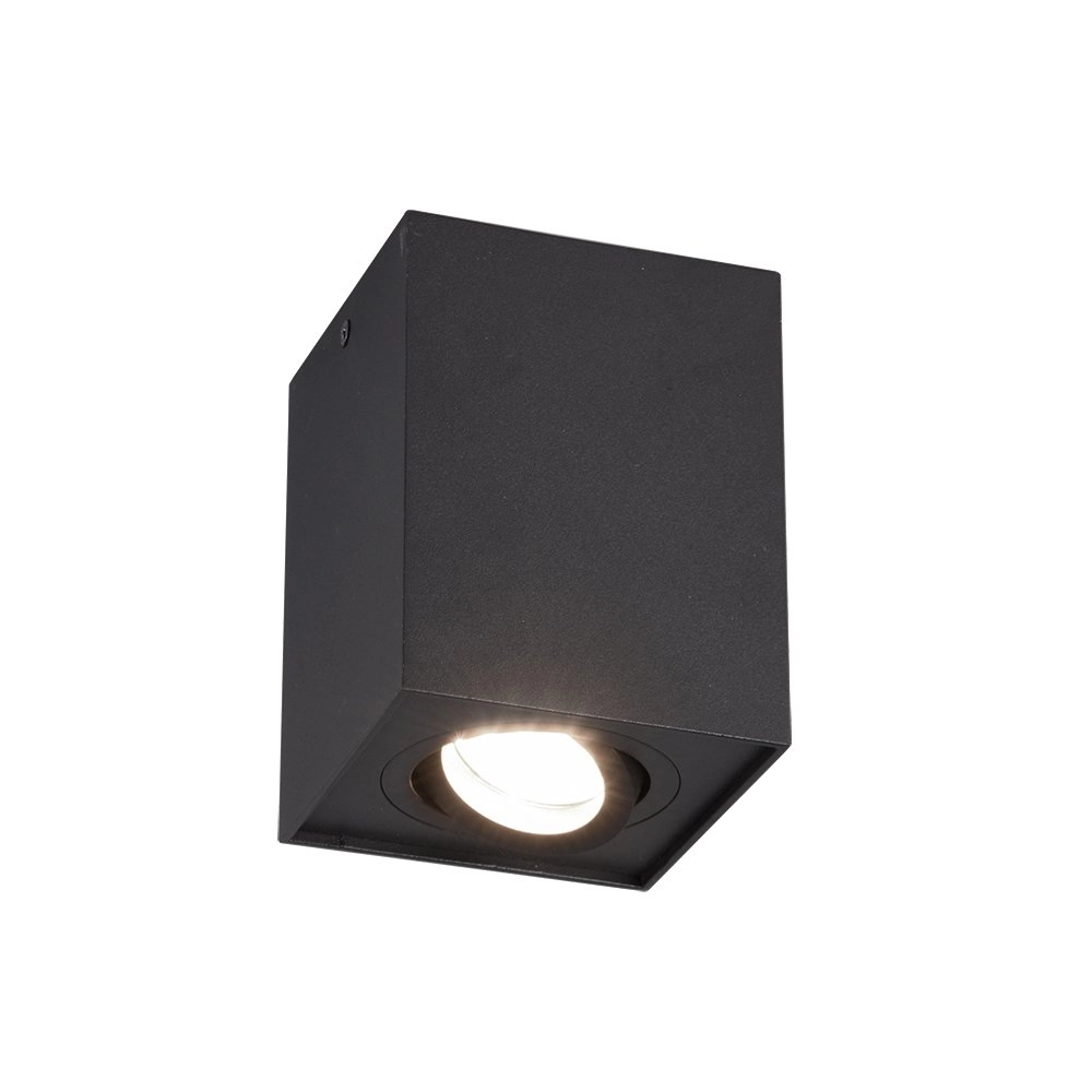 Spot Biscuit Trio 4017807426915