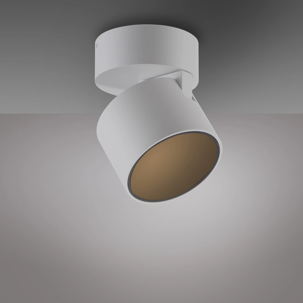 Spot lisse monté en surface Pure Cup Blanche-Neige Paul Neuhaus 4012248395578