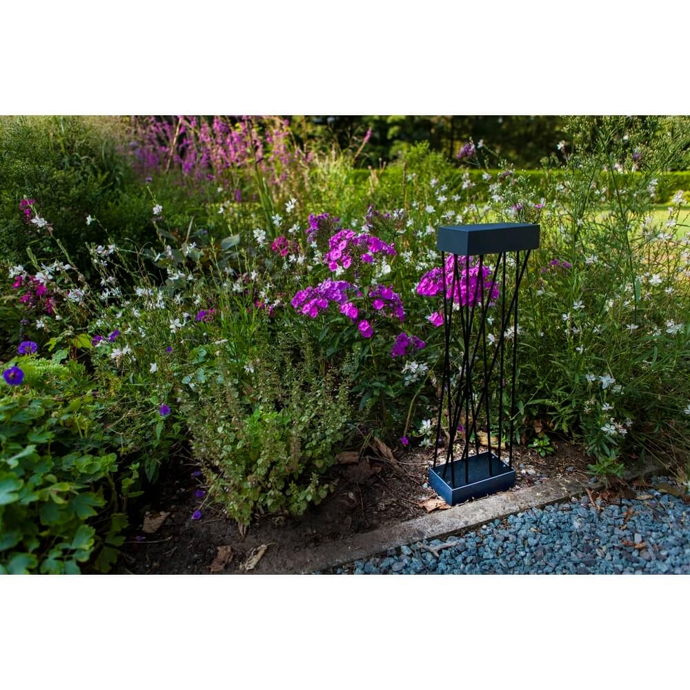Lampe d’ambiance solaire Spido Lutec 6939412089843