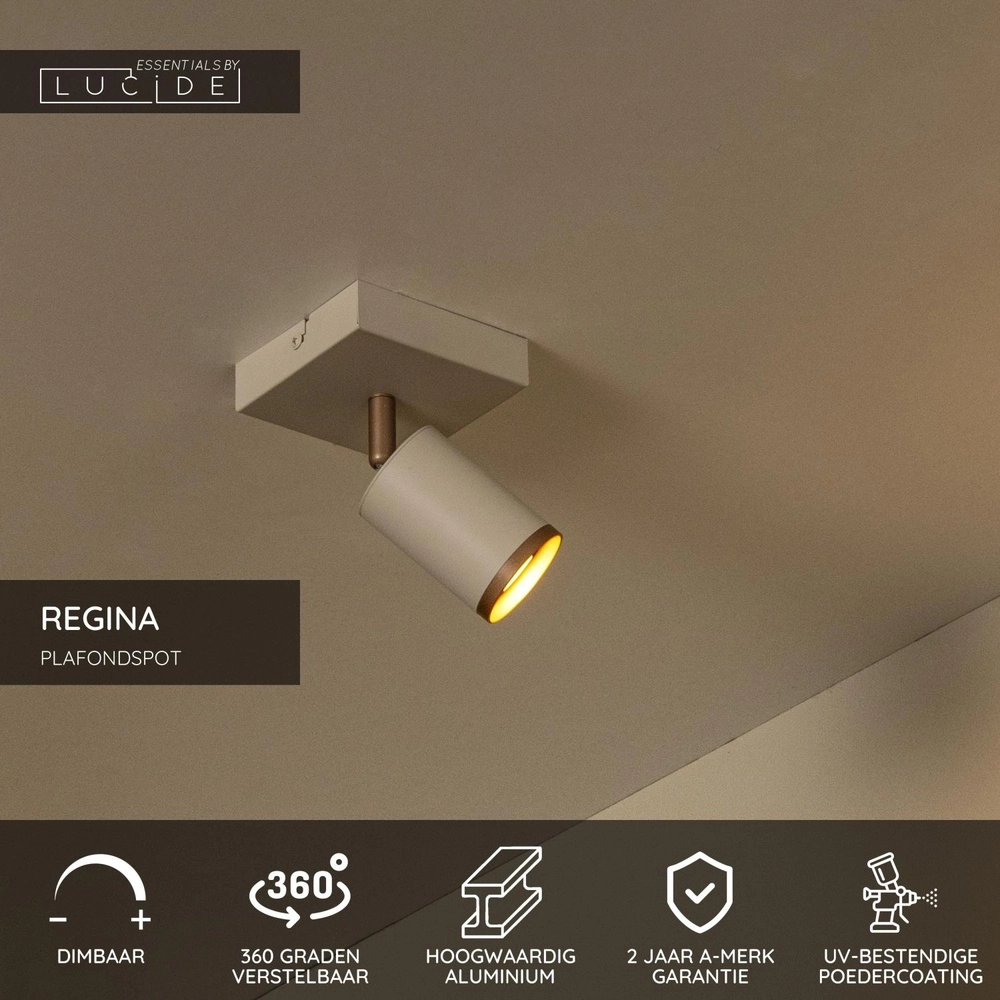 Projecteur de plafond Regina Taupe avec brun café Lucide 5411212531209