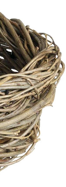 Spot au sol Nest avec du bois de saule Franssen 8033239599092