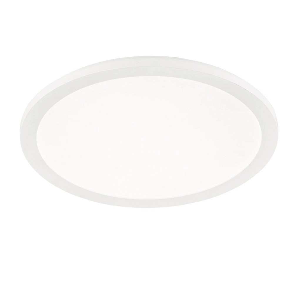 spot Camillus spot Camillus