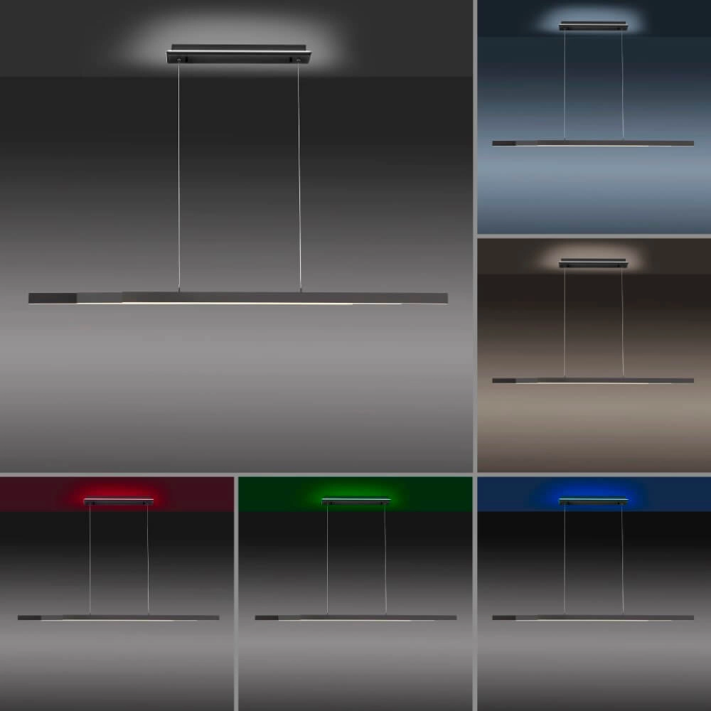 Lampe suspendue moderne Q-Arian anthracite Paul Neuhaus 4012248359846