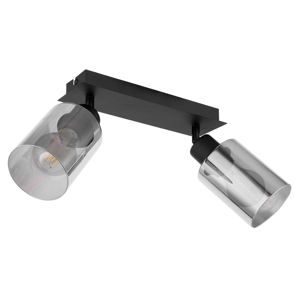 Lampe de plafond Hadera Noir à deux lumières avec verre fumé Globo 9007371440214