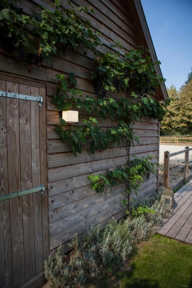 Applique carrée Doblo anthracite Lutec 6939412012490